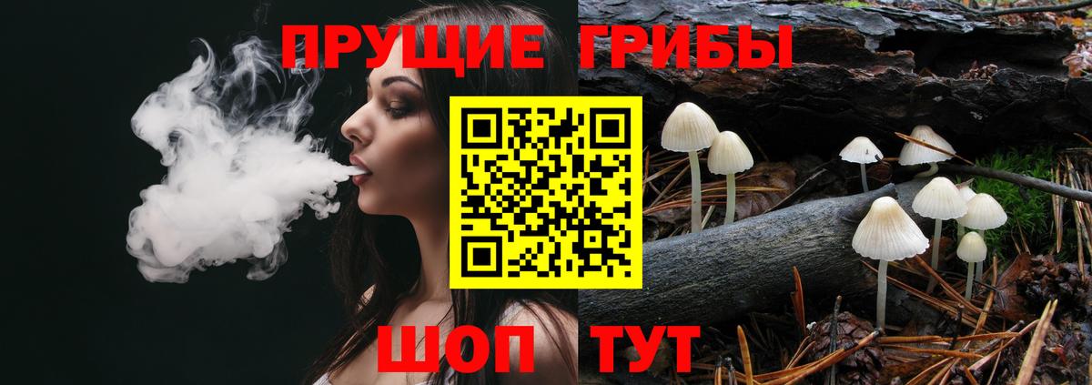 Псилоцибиновые грибы Cubensis Алатырь